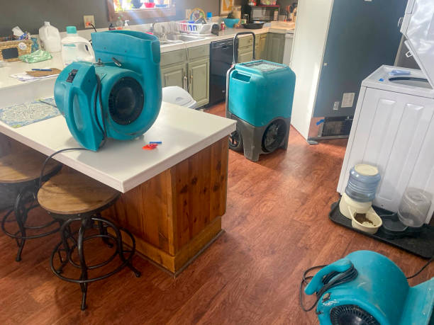 Best 24/7 water damage repair  in Geneva, WA