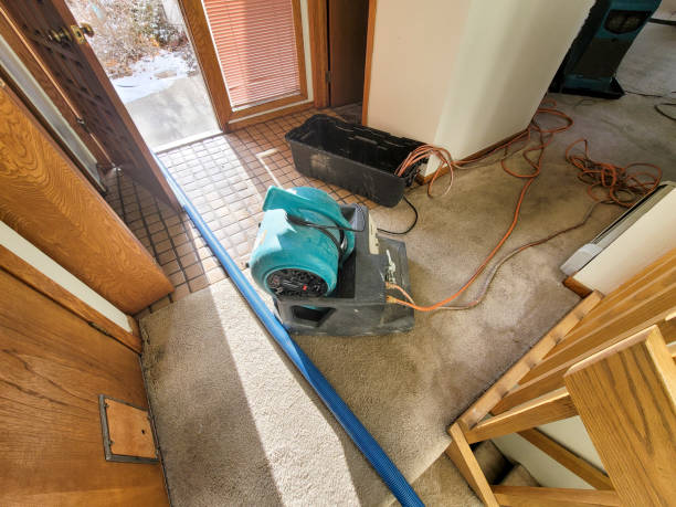 , WA Water damage restoration Company