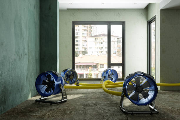 Best Water damage restoration insurance claims  in Geneva, WA